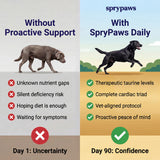 SpryPaws Daily Heart Defense